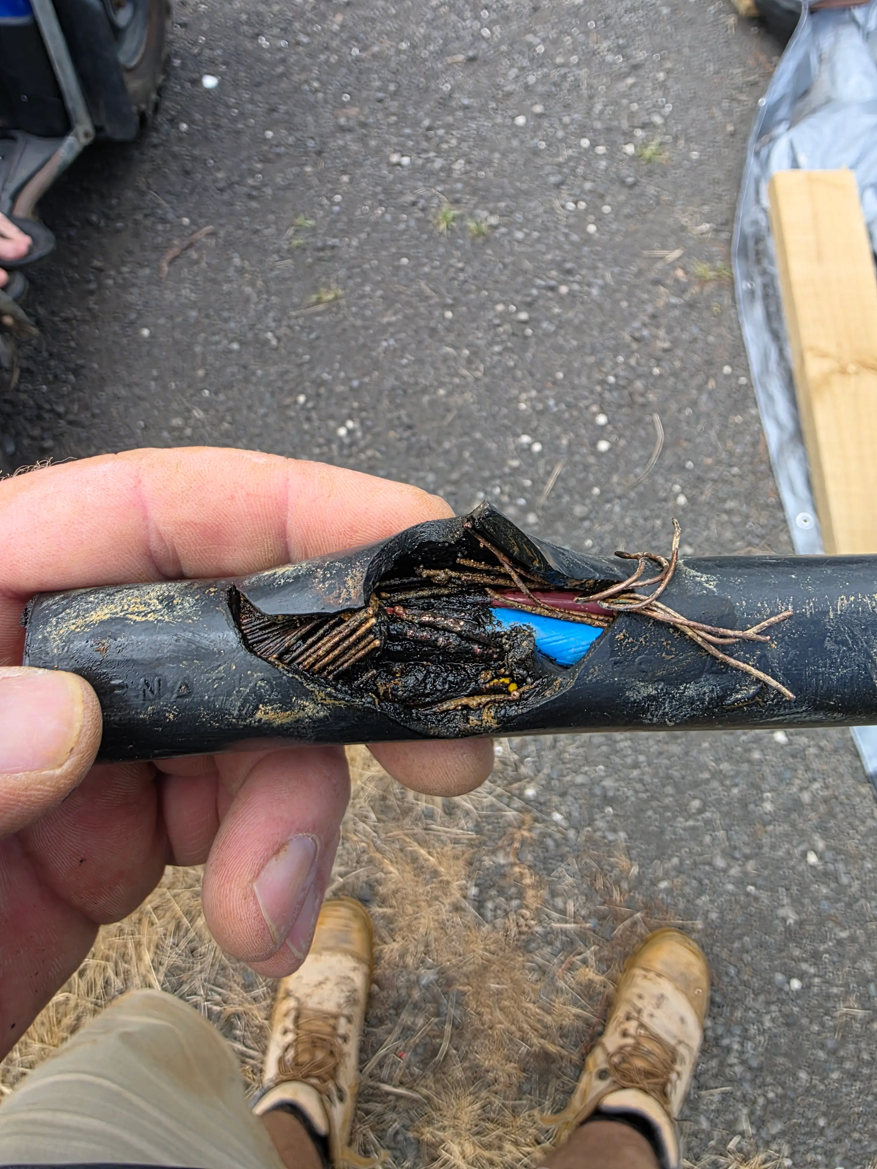 Cable Damage 2